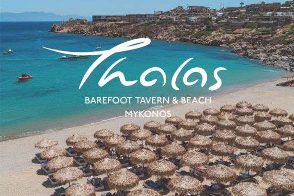 thalas2FEBDB75E-476B-D58D-786F-5222B3E035C5.jpg